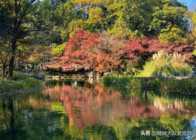 @所有人，杭州秋冬“顶级公园”发力了，绝美如画，出片100%