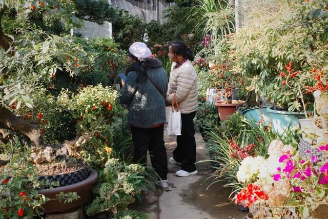 又挖到一座冷门宝藏小城，这次真给我玩嗨了