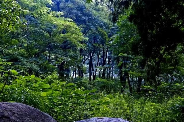浏河滚滚欲留春，独向芳踪觅雅意——徒步小溪河散记（九）