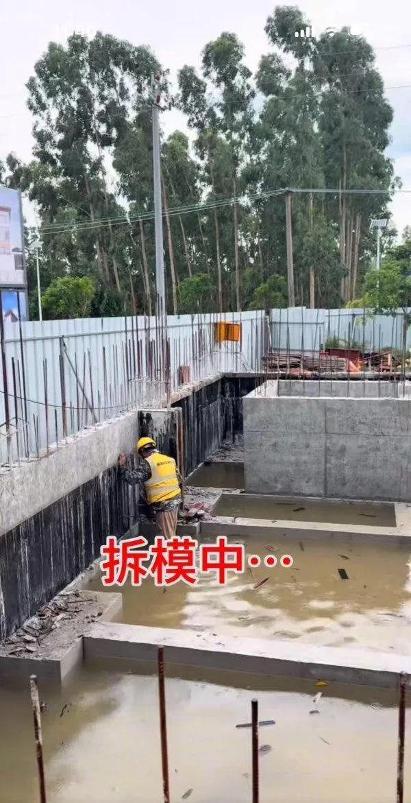 全红婵家新房建设最新进展：遭遇施工阻碍，邻居拒绝修剪树木。