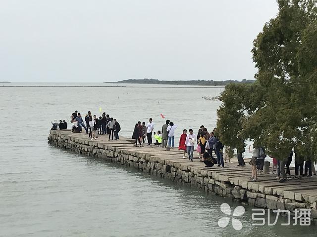 浪漫十月，来苏州西山岛见一面吧