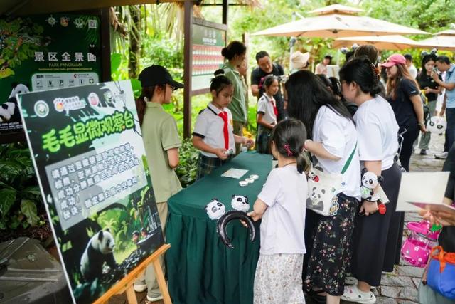 海野热带大熊猫兄弟十二周岁生日庆典暨第七届海野国际熊猫粉丝节盛大启幕！