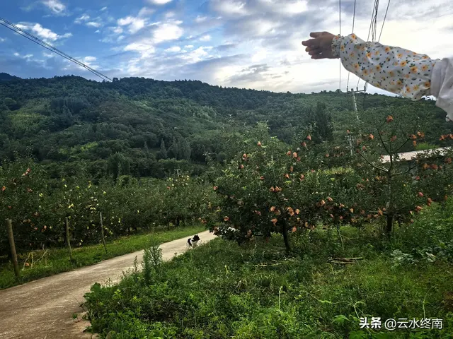 千年陈仓道现在什么样子？看风景吃美食听故事，听我一一道来