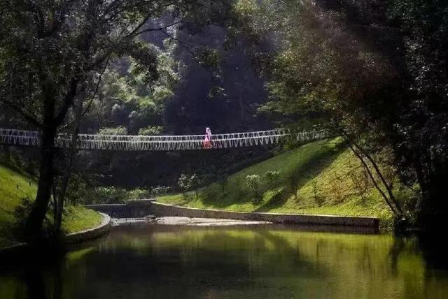 广东韶关2日叹禅意之旅，人均200不贵！经律论+温泉+双早+天禅谷