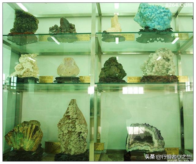 山东行游影记（31）—平邑天宇自然博物馆（六）