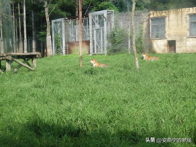 走进长春