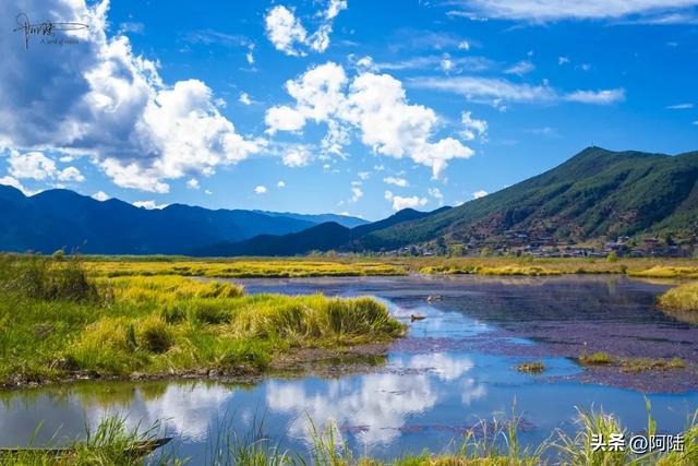 泸沽湖草海差点把我看吐了,到处是油画般的场景,能不能别这么美