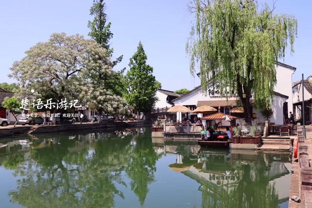 浙江绍兴这条历史街区很低调，但水乡风情浓郁，苦楝花美不胜收