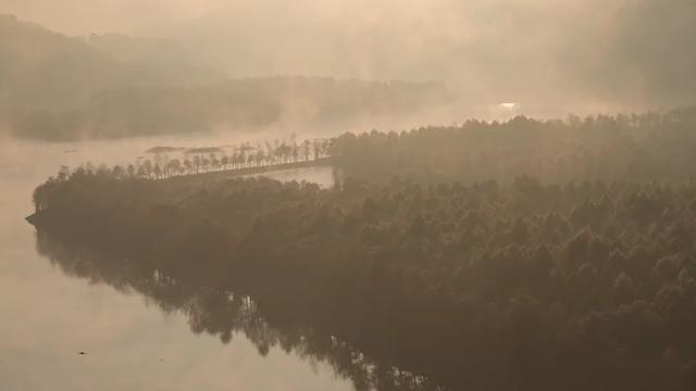 红了！红了！你最想和谁一起去？