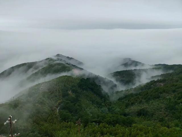 长治！雨后老顶山，云海翻涌！