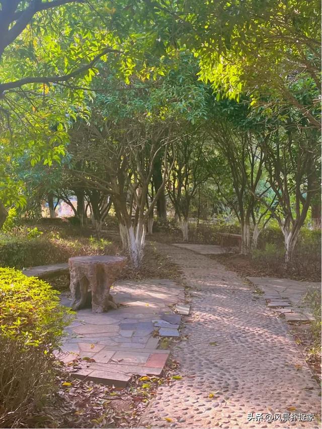 南昌的晚秋,风景美如画