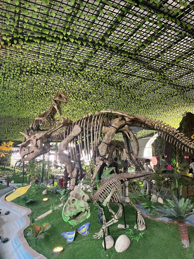 我是上海大学生	，刚游完诸城，憋了 6 个疑问不吐不快！