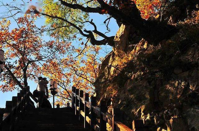 愚公故里游、王屋山巅行