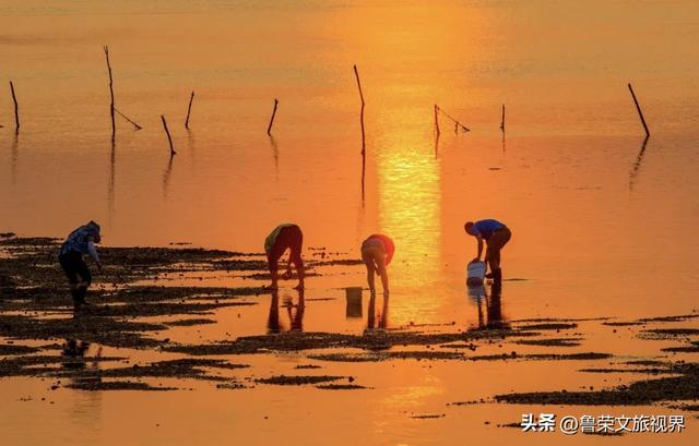 荣成霞光记：山海之间的奇幻诗篇
