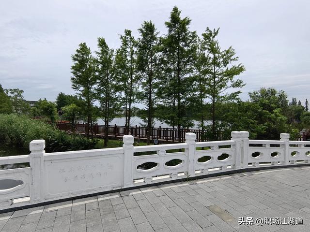 这个新村美得不像话！离上海只有一小时车程，去了还想去！