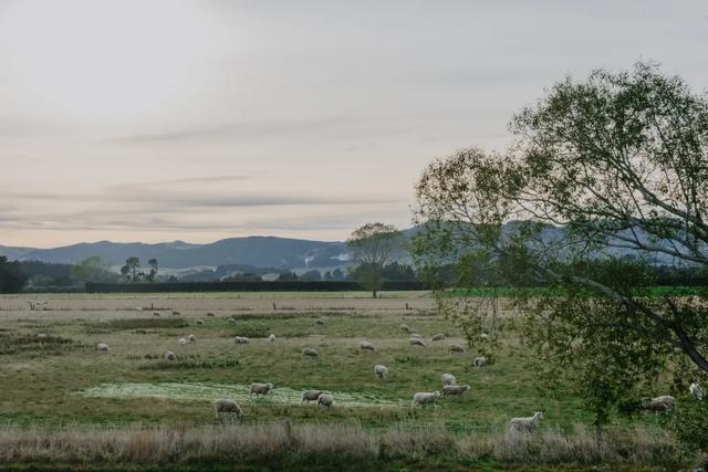 反季去这里,景色封神