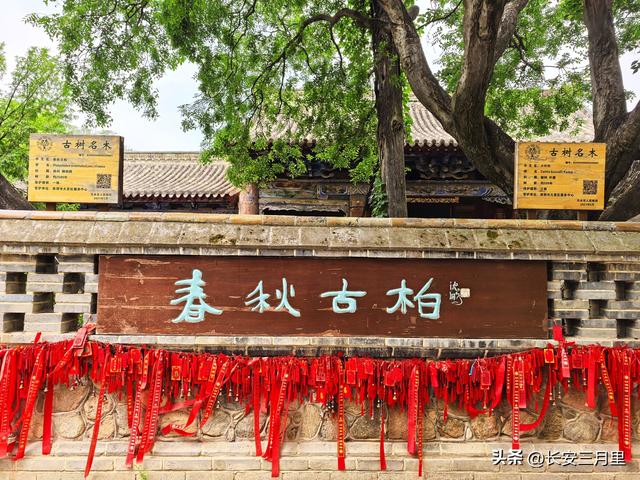 山头南郭寺，寻找杜甫的天水诗迹