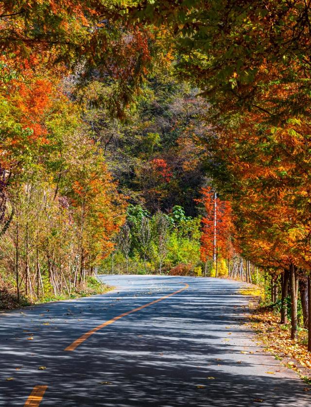 11月旅行地推荐！这13个赏秋地无对手，还藏着国内四大绝美秋色