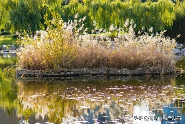 唐岛湾，美得如此满分！