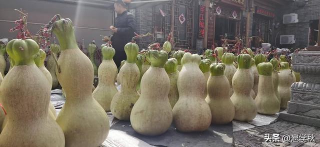 聊城葫芦节奇遇记：这届葫芦节逛懵圈了，竟然有那么多的想不到
