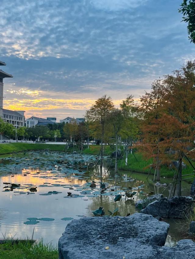 10月，「需要另一个同类」