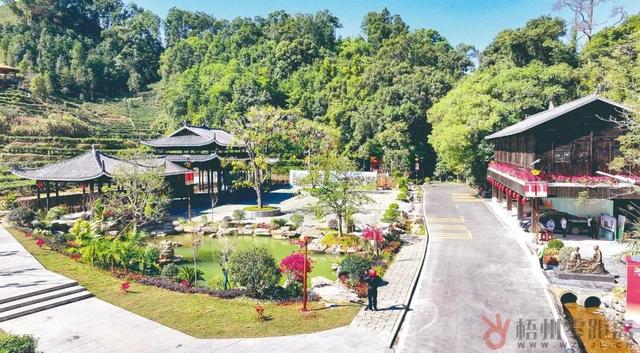 “活力大湾区，魅力新广州”来梧州旅游的大湾区小伙伴都在刷这句？原来是因为……