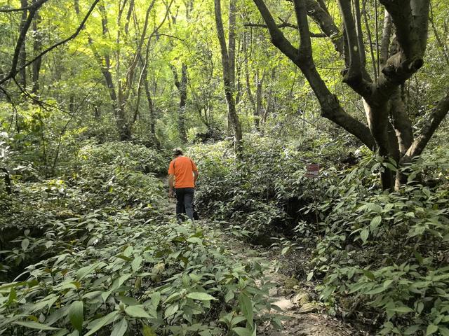 带小朋友去贵州茂兰，连环探洞加漏斗原始森林徒步二日游全攻略！