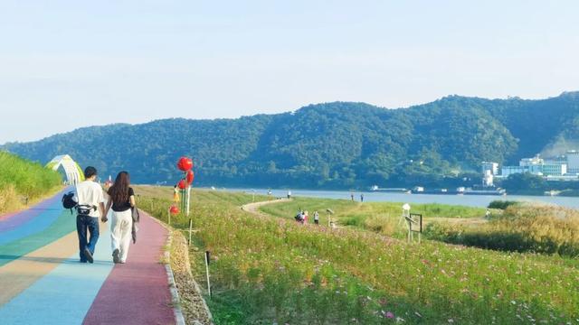 被端州这片花海圈「粉」了