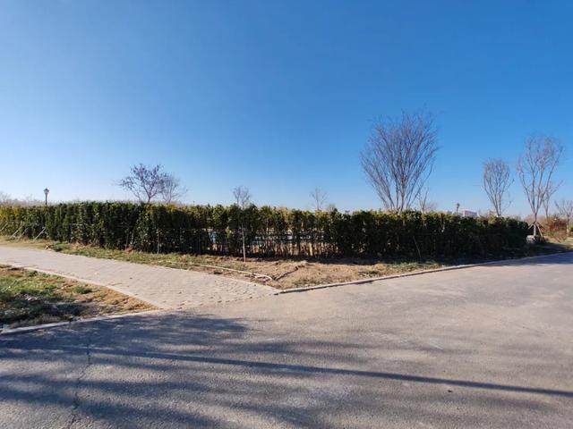 德州城西“花园营地”怎么不见了?