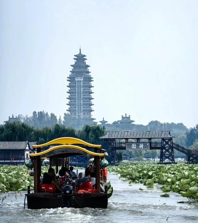 我是上海人，去了山东济宁后发现：济宁人跟其他地方的人不太一样