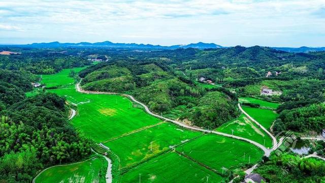 湖北赤壁：蓝天白云映绿野 碧水金稻漫山岗