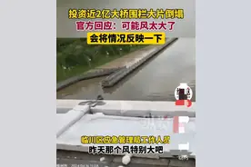 江西2亿的围栏刚建好就被风吹塌！官方回复竟与提灯定损如出一辙图片