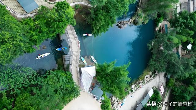 七十响礼炮震彻都安，千层岭间漫卷乡愁：七秩辉煌，你我共见