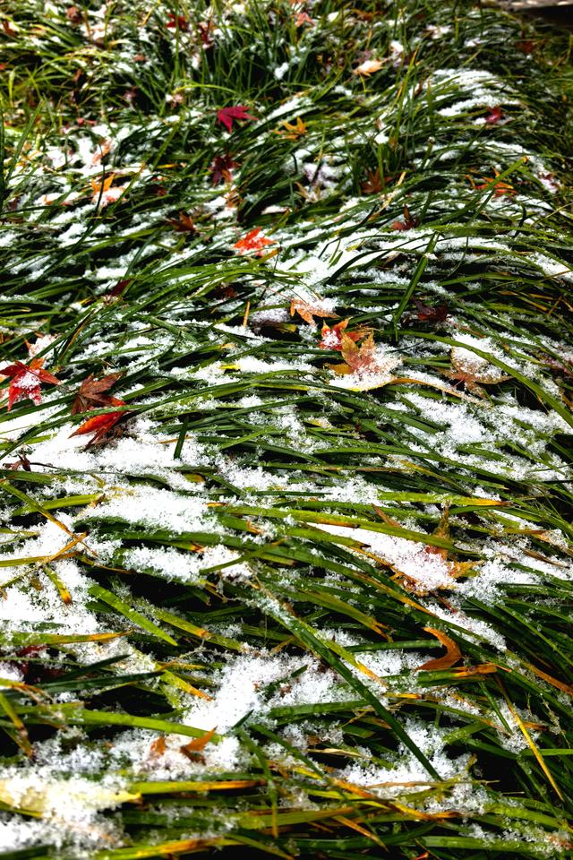 初雪滤镜下的潍坊，美得不一样~