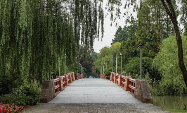 青岛崂山要砸钱搞大事！五年后这里可能让你 “高攀不起”！