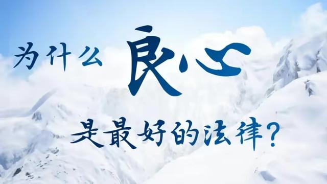 对涉嫌参与虚假诉讼、伪造证据、恶意串通的行为，如何处理？