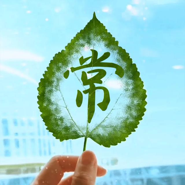 古风意境网名,好听的仙气微信名字,树叶姓氏头像