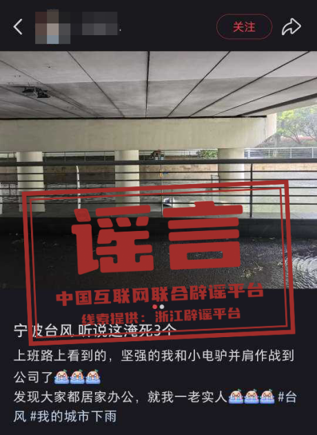 这些有关台风“竹节草”信息均不实