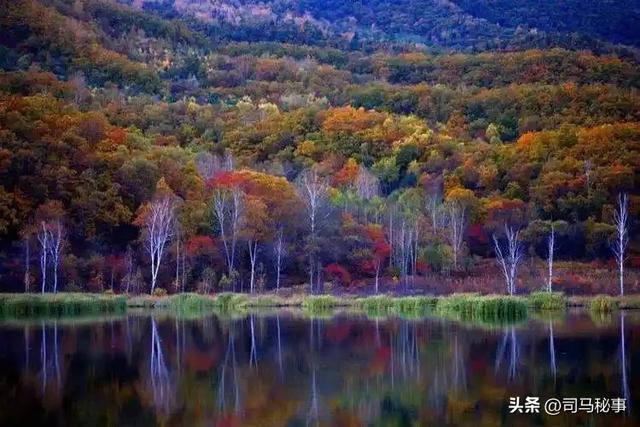 小兴安岭藏宝地！南岔冰雪狂欢、红色记忆、北药盛宴
