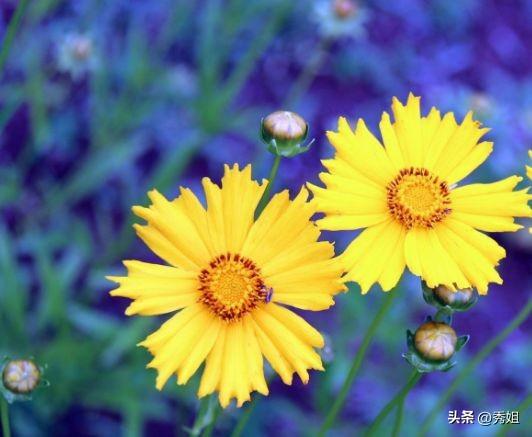 夫妻吵了一辈子架，才明白，谁也改变不了谁！18句互相宽容过日子