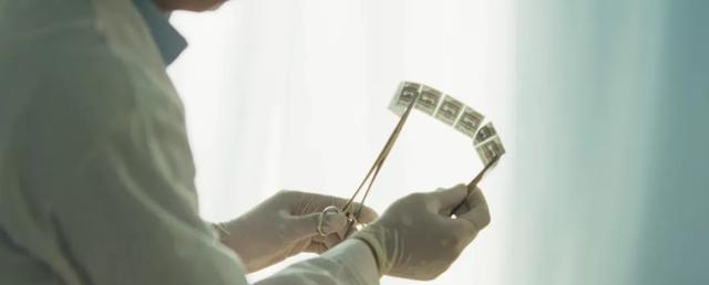 首刷6集《树影迷宫》:议题生猛谈“两性”,结构精巧布“树影”