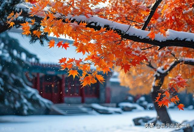 “冷不冷，就看白露”，今日白露，今年冬天会很冷吗？看农谚咋说