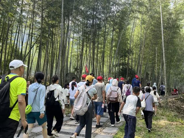 明月山迎多样旅行团，点亮夏日避暑经济！
