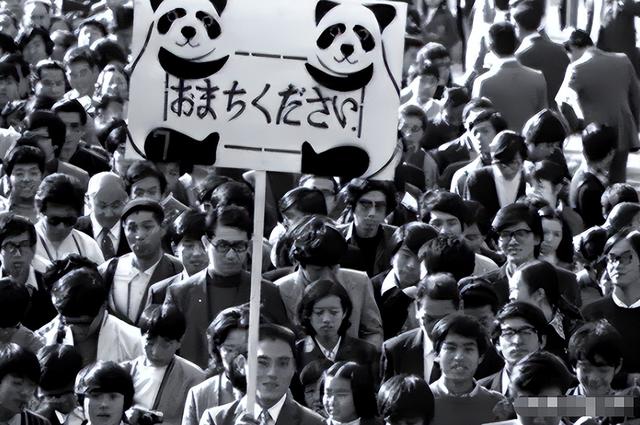 没有回旋余地，中国下令直接收回，17万日本人泪奔，高市闯祸了！