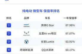 纯电动车别乱买！最新保值率排名：海鸥、海豹前五，Model 3超70%图片
