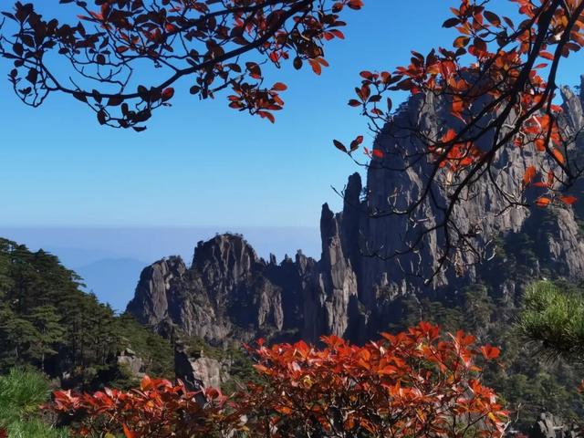 赶紧收藏，这份黄山赏秋时刻指南 | 超级皖黄山市争霸赛等你来战