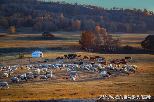 9 地秋日赏秋实测攻略！附最佳时间 + 落地玩法，收藏直接走