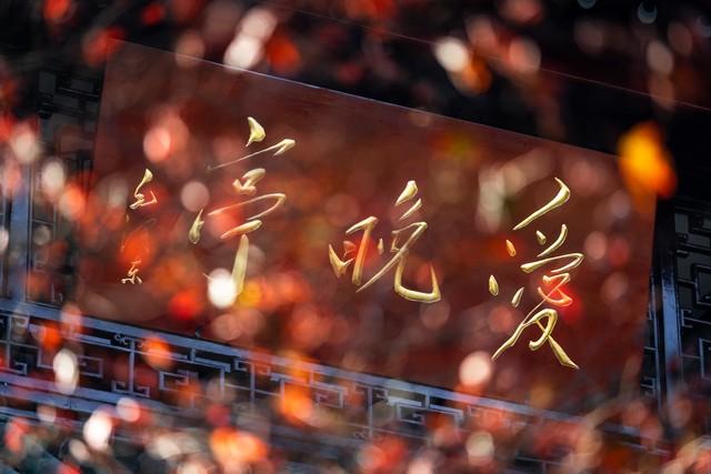 长沙岳麓山红枫如火