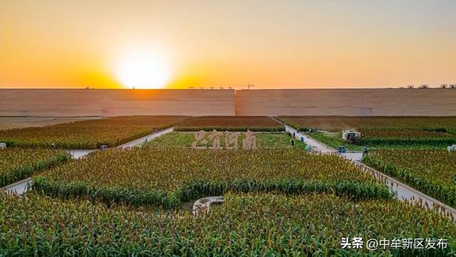 中牟的秋：山水与欢歌共舞