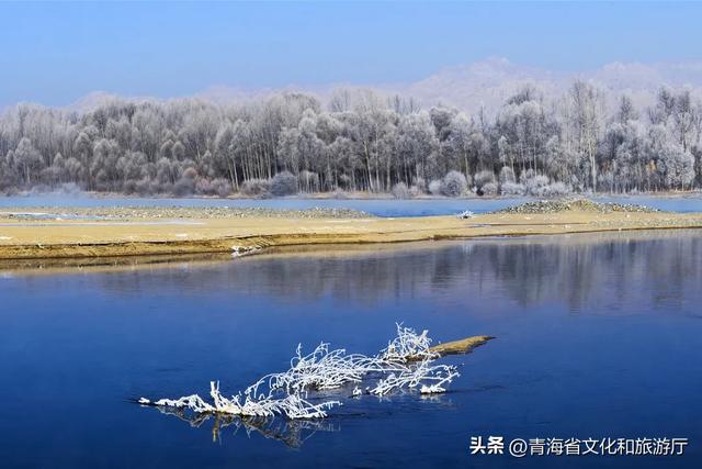 青海的冬天有多美?风裹着雪吻过河流,阳光在雪山尖写满温柔